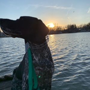 Meet your Posher, Aidan